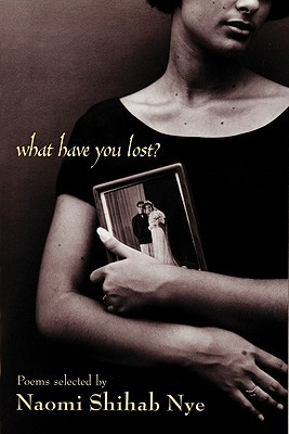 What Have You Lost? (Paperback)