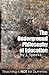 The Underground Philosophy of Education: Teaching Is Not for Dummies