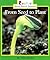 From Seed to Plant (Rookie Read-About Science)