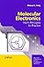 Molecular Electronics: From Principles to Practice (Wiley Series in Materials for Electronic & Optoelectronic Applications)