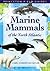 Marine Mammals of the North Atlantic (Princeton Field Guides)
