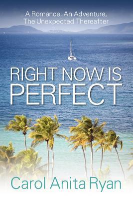 Right Now Is Perfect: A Romance, an Adventure, the Unexpected Thereafter (Paperback)