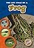 The Life Cycle of a Frog (Blastoff! Readers by Colleen Sexton