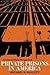 Private Prisons in America: A Critical Race Perspective (Critical Perspectives in Criminology)