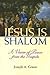 Jesus Is Shalom: A Vision of Peace from the Gospels