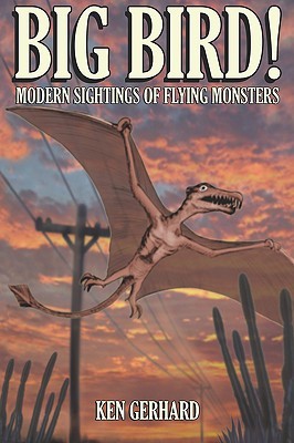 Big Bird! - Modern Sightings of Flying Monsters (Paperback)