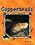 Copperheads (ANIMAL KINGDOM SET II)