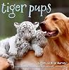 Tiger Pups