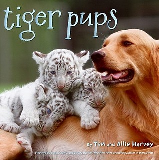 Tiger Pups (Hardcover)