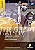 The Great Gatsby (York Notes)