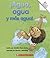 ¡Agua, Agua y Más Agua!/Water Everywhere! (Rookie Español)