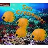 Sea Creatures