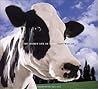 The Secret Life of Cows by Glen Wexler