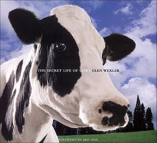 The Secret Life of Cows (Paperback)