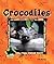 Crocodiles (ANIMAL KINGDOM SET II)