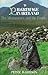 Pilgrimage in Ireland: The ...