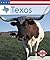Texas by Ann Heinrichs