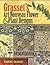 Grasset's Art Nouveau Flower and Plant Designs (Dover Pictorial Archive)
