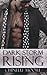 Dark Storm Rising