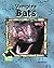 Vampire Bats (ANIMAL KINGDOM SET II)