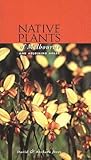 Native Plants of Melbourne: And Adjoining Areas