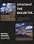 Landscape of the Megaliths: Excavation and Fieldwork on the Avebury Monuments, 1997-2003