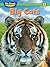 Big Cats (We Read Phonics - Level 1 (Quality))