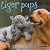 Tiger Pups
