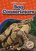 Boa Constrictors