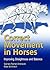 Correct Movement in Horses: Improving Straightness and Balance
