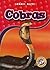 Cobras (Blastoff! Readers: Snakes Alive)