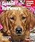 Golden Retrievers: Everything About Feeding, Health Care, Training, Grooming, Exercise, and Play Activities (Complete Pet Owner's Manual)