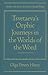 Tsvetaeva's Orphic Journeys in the Worlds of the Word (Studies in Russian Literature and Theory)
