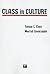 Class in Culture (Series in...