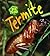 Termite (Bug Books)