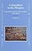 Colonialism in the Margins: Cultural Encounters in New Sweden and Lapland