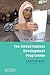 The United Nations Development Programme: A Better Way? (Volume 0)