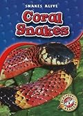 Coral Snakes