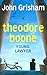 Theodore Boone: Young Lawyer (Theodore Boone, #1)