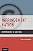 Infringement Nation: Copyri...