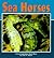 Sea Horses (Nature Watch)
