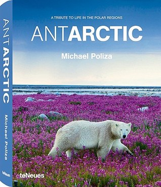 Antarctic: A Tribute to Life in the Polar Regions (Hardcover)