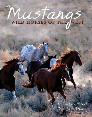 Mustangs: Wild Horses of the West (Hardcover)