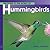 Welcome To The World Of Hummingbirds