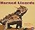 Horned Lizards