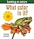 What Color Is It? (Looking at Nature)