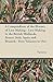 A Compendium of the History of Lace Making - Lace Making in the British Midlands, France, Italy, Spain and Brussels - Four Volumes in One