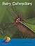 Hairy Caterpillars by Simon Pollard