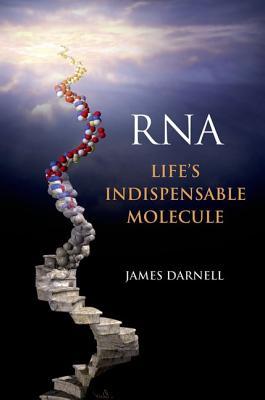RNA: Life's Indispensable Molecule (Hardcover)
