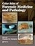 Color Atlas of Forensic Medicine and Pathology (Volume 1)